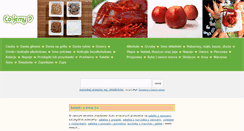 Desktop Screenshot of cojemy.pl